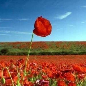 Meet your Posher, Kathi